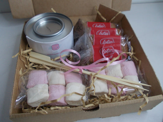 vegan smores kit brown box containing tin gel burner, 12 pink and white vegan marshmallows, 12 vegan biscuits, skewers  